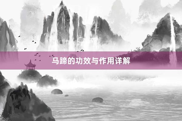 马蹄的功效与作用详解